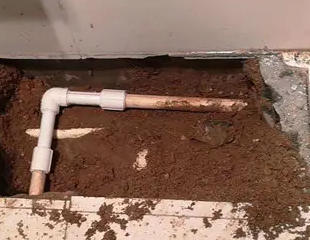 灵山测漏水哪家好