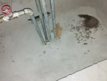 灵山卫生间测漏水价格明细