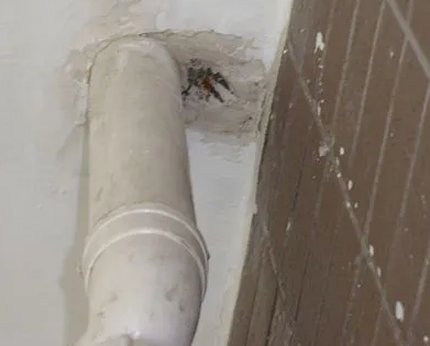 灵山漏水检测哪家好